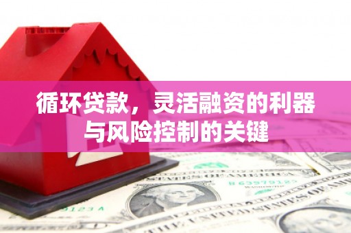 临邑循环贷款，灵活融资的利器与风险控制的关键