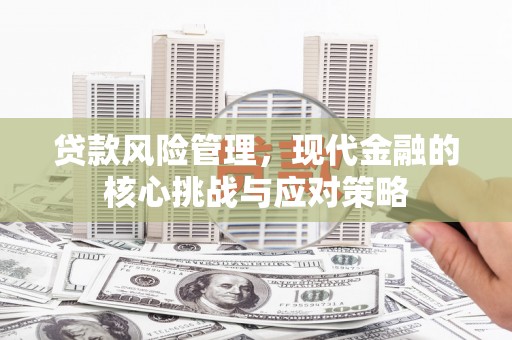 西昌贷款风险管理，现代金融的核心挑战与应对策略