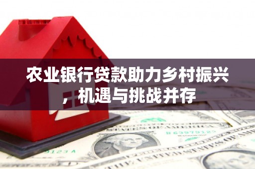 新华农业银行贷款助力乡村振兴，机遇与挑战并存