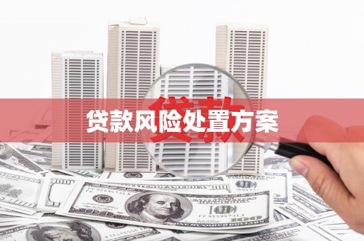 沂水贷款风险处置方案