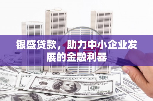 浔阳银盛贷款，助力中小企业发展的金融利器