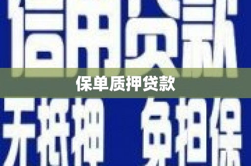 乌恰保单质押贷款