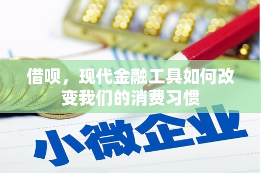 西峰借呗，现代金融工具如何改变我们的消费习惯