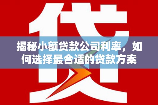 和静揭秘小额贷款公司利率，如何选择最合适的贷款方案