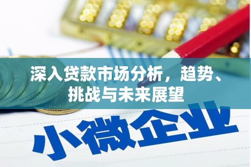 新沂深入贷款市场分析，趋势、挑战与未来展望