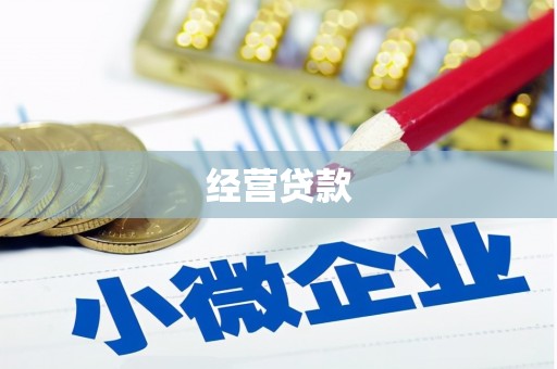 隆德经营贷款