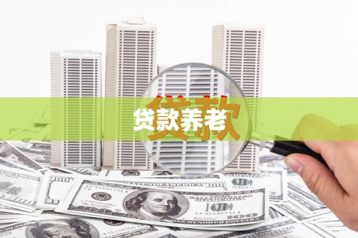 自贡贷款养老