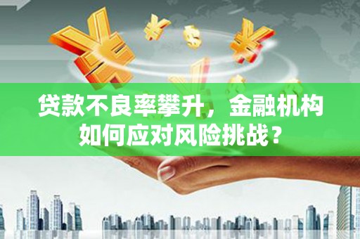 梓官贷款不良率攀升，金融机构如何应对风险挑战？