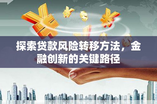 宁蒗探索贷款风险转移方法，金融创新的关键路径