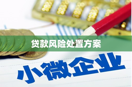 焉耆贷款风险处置方案