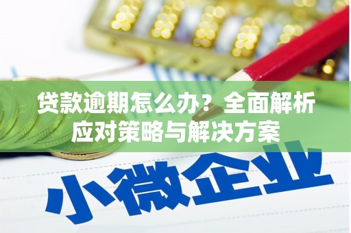 高要贷款逾期怎么办？全面解析应对策略与解决方案