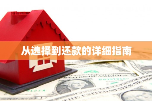 西夏从选择到还款的详细指南