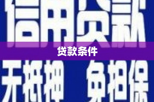 全南贷款条件