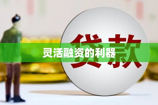 儋州灵活融资的利器
