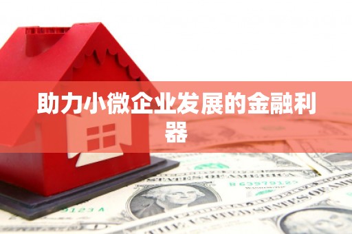 赫山助力小微企业发展的金融利器