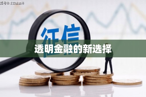 边坝透明金融的新选择